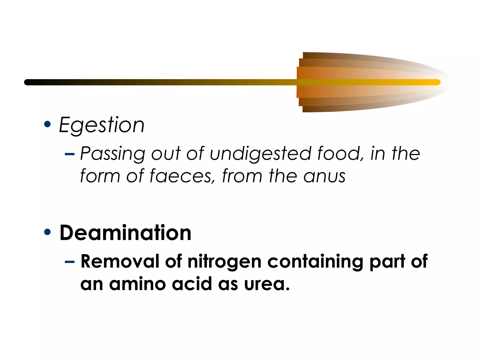 • Egestion
– Passing out of undigested food, in the
form of faeces, from the anus

• Deamination
– Removal of nitrogen containing part of
an amino acid as urea.

 