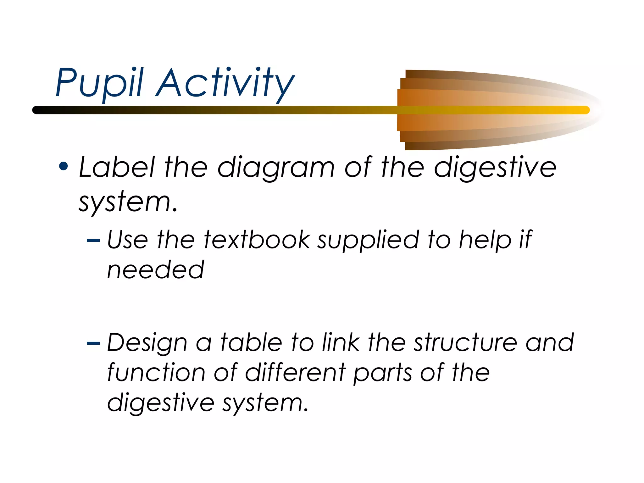 Pupil Activity
• Label the diagram of the digestive
system.
– Use the textbook supplied to help if
needed
– Design a table to link the structure and
function of different parts of the
digestive system.

 
