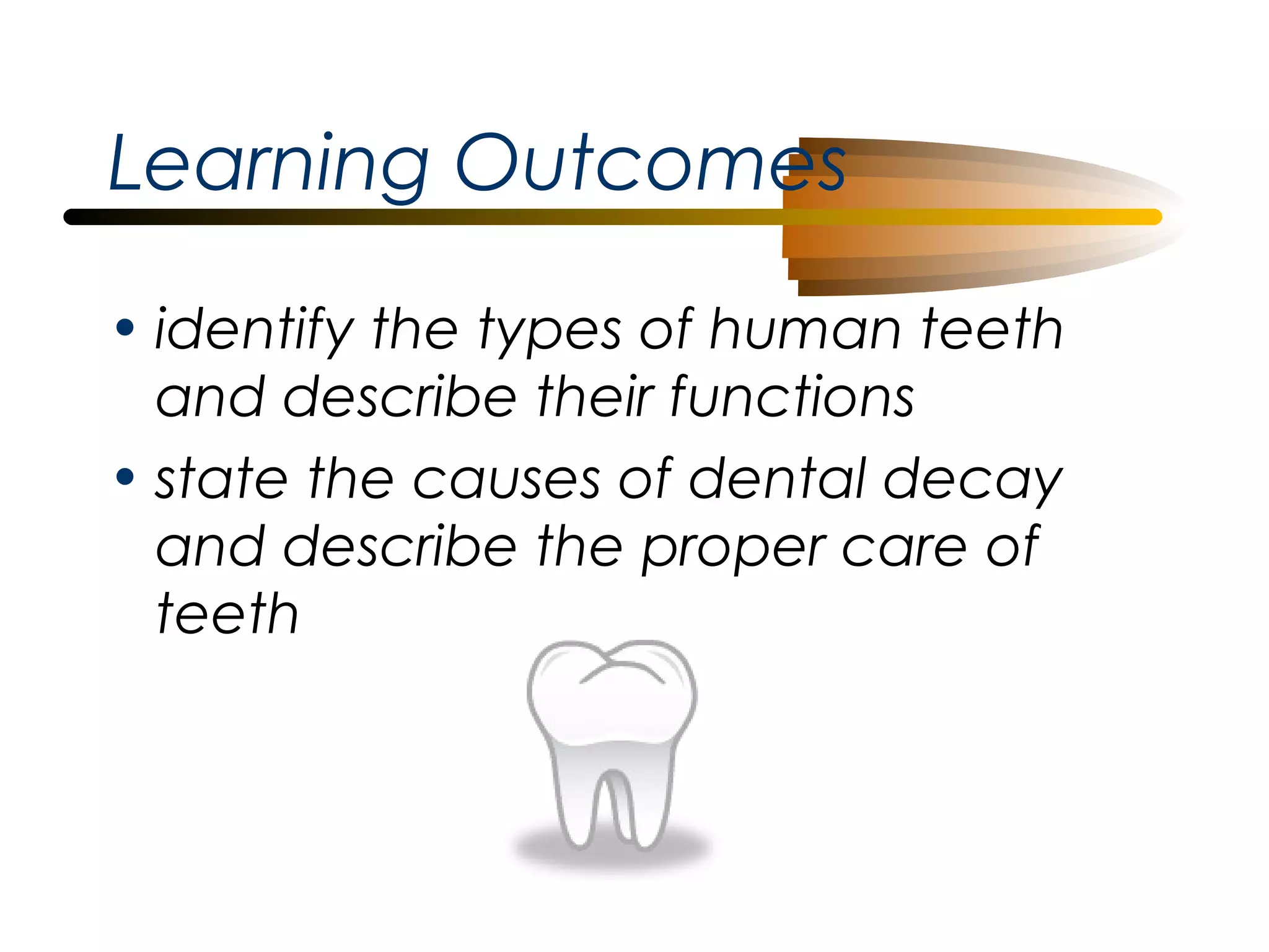 Learning Outcomes
• identify the types of human teeth
and describe their functions
• state the causes of dental decay
and describe the proper care of
teeth

 