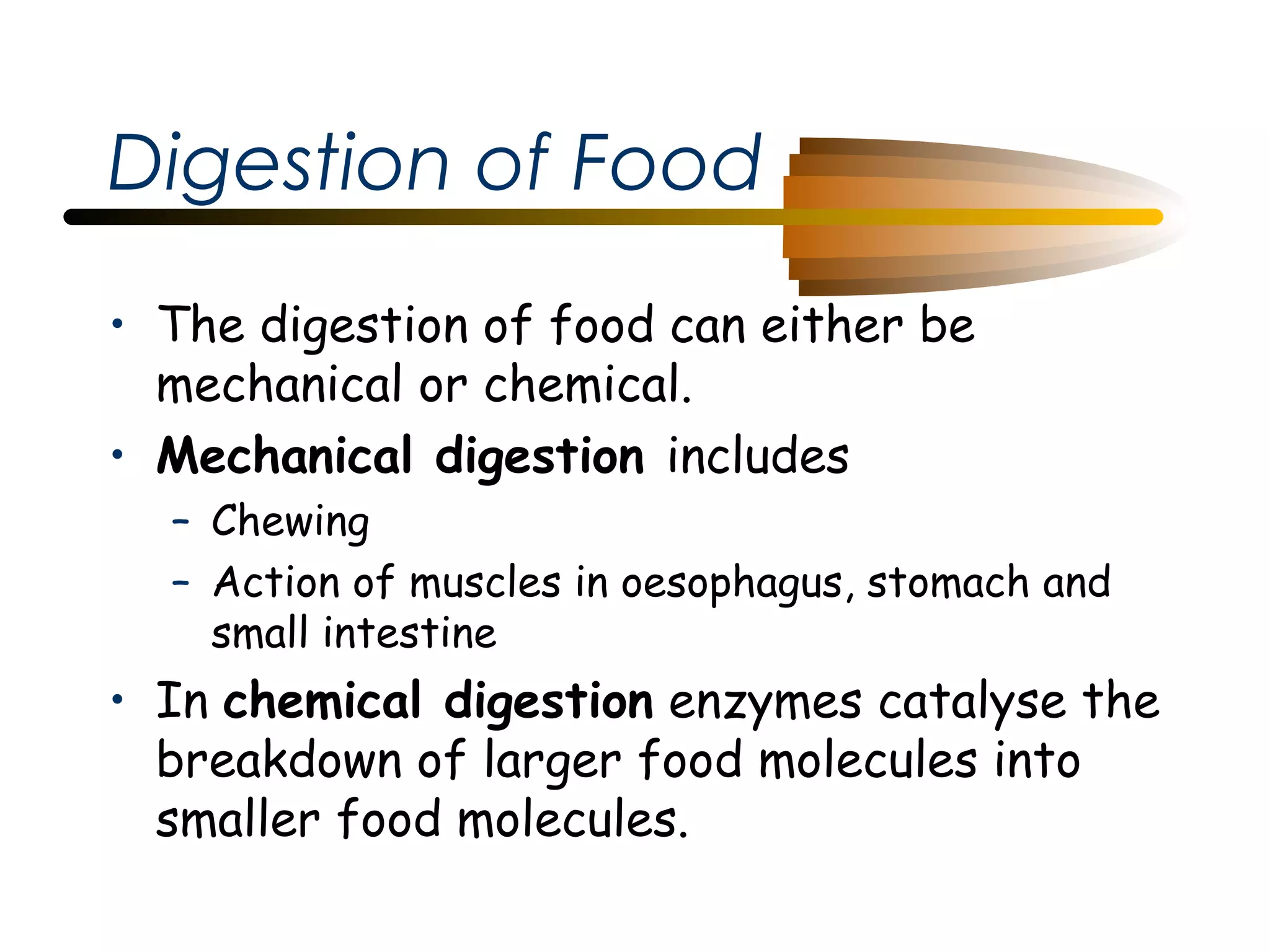 Digestion of Food
• The digestion of food can either be
mechanical or chemical.
• Mechanical digestion includes
– Chewing
– Action of muscles in oesophagus, stomach and
small intestine

• In chemical digestion enzymes catalyse the
breakdown of larger food molecules into
smaller food molecules.

 