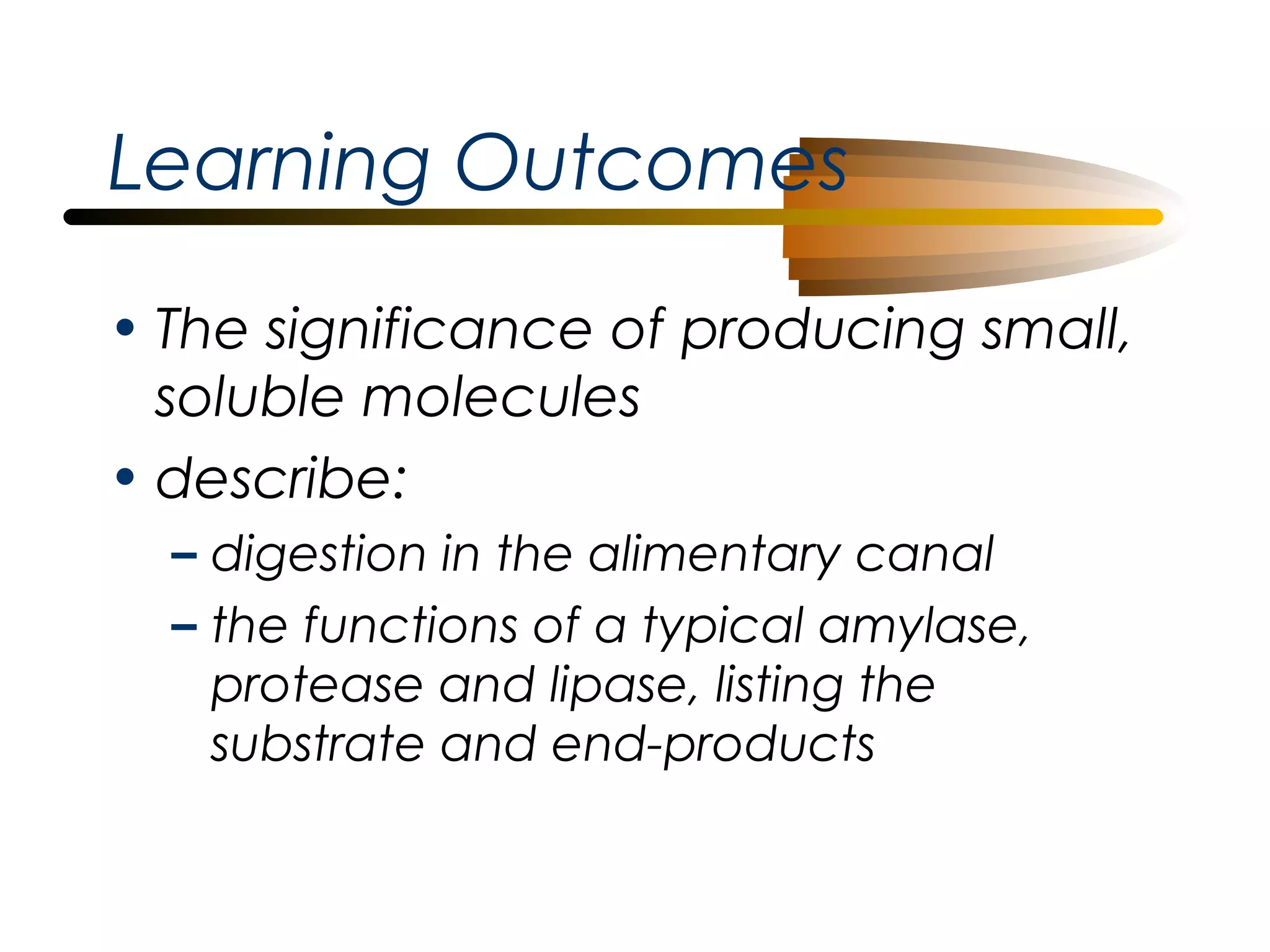 Learning Outcomes
• The significance of producing small,
soluble molecules
• describe:
– digestion in the alimentary canal
– the functions of a typical amylase,
protease and lipase, listing the
substrate and end-products

 