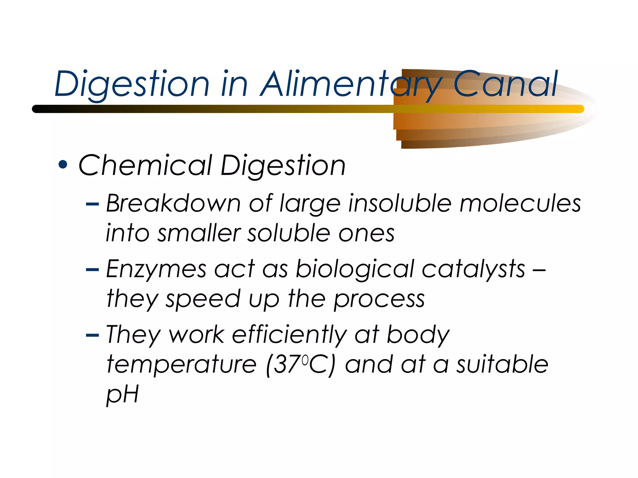 Digestion in Alimentary Canal
• Chemical Digestion
– Breakdown of large insoluble molecules
into smaller soluble ones
– Enzymes act as biological catalysts –
they speed up the process
– They work efficiently at body
temperature (37OC) and at a suitable
pH

 