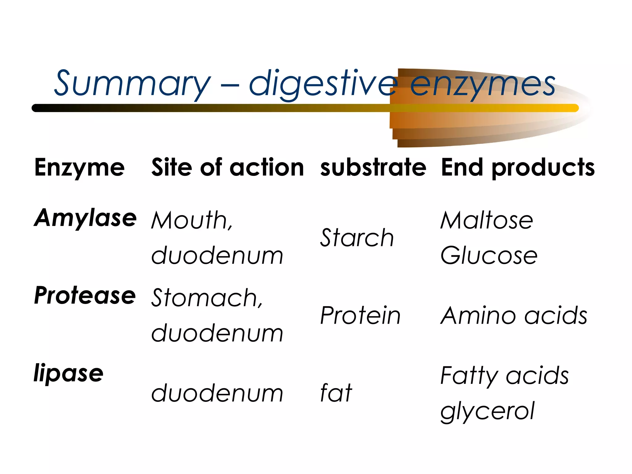 Summary – digestive enzymes
Enzyme

Site of action substrate End products

Amylase Mouth,
duodenum

Starch

Maltose
Glucose

Protease Stomach,
duodenum

Protein

Amino acids

fat

Fatty acids
glycerol

lipase

duodenum

 