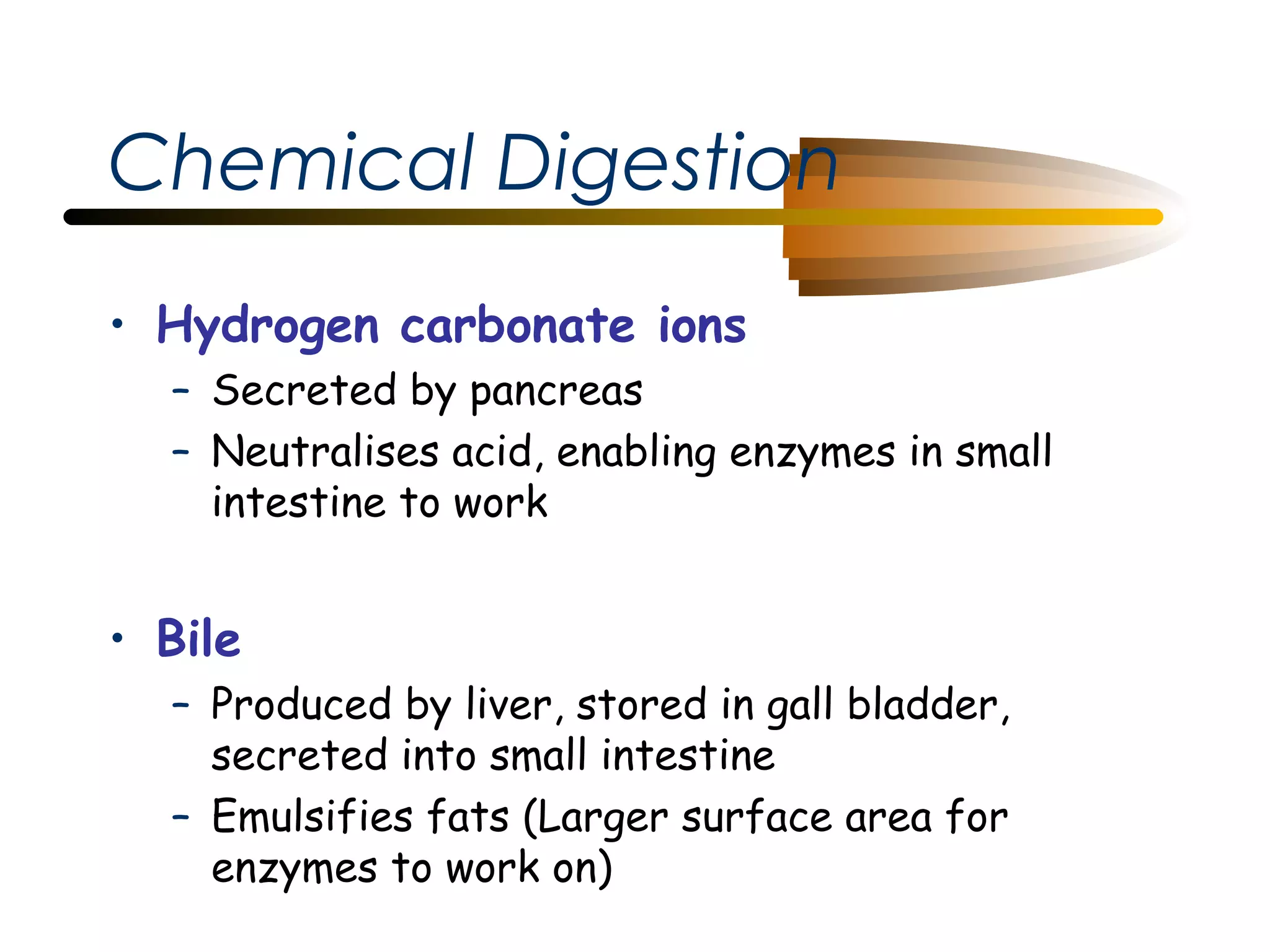 Chemical Digestion
• Hydrogen carbonate ions
– Secreted by pancreas
– Neutralises acid, enabling enzymes in small
intestine to work 

• Bile
– Produced by liver, stored in gall bladder,
secreted into small intestine
– Emulsifies fats (Larger surface area for
enzymes to work on)

 