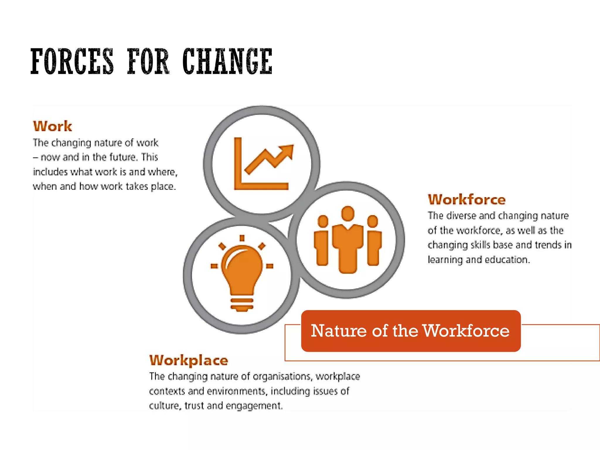 Nature of the Workforce
 
