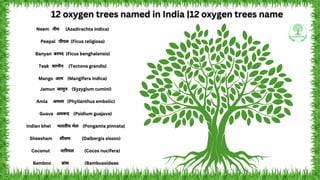 12 oxygen trees named in India 12 oxygen trees name.pdf