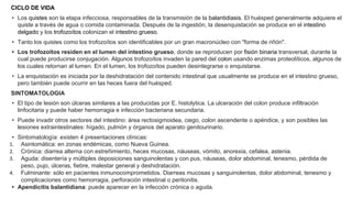 CICLO DE VIDA
• Los quistes son la etapa infecciosa, responsables de la transmisión de la balantidiasis. El huésped generalmente adquiere el
quiste a través de agua o comida contaminada. Después de la ingestión, la desenquistación se produce en el intestino
delgado y los trofozoítos colonizan el intestino grueso.
• Tanto los quistes como los trofozoítos son identificables por un gran macronúcleo con "forma de riñón".
• Los trofozoítos residen en el lumen del intestino grueso, donde se reproducen por fisión binaria transversal, durante la
cual puede producirse conjugación. Algunos trofozoítos invaden la pared del colon usando enzimas proteolíticos, algunos de
los cuales retornan al lumen. En el lumen, los trofozoítos pueden desintegrarse o enquistarse.
• La enquistación es iniciada por la deshidratación del contenido intestinal que usualmente se produce en el intestino grueso,
pero también puede ocurrir en las heces fuera del huésped.
SINTOMATOLOGIA
• El tipo de lesión son úlceras similares a las producidas por E. histolytica. La ulceración del colon produce infiltración
linfocitaria y puede haber hemorragia e infección bacteriana secundaria.
• Puede invadir otros sectores del intestino: área rectosigmoidea, ciego, colon ascendente o apéndice, y son posibles las
lesiones extraintestinales: hígado, pulmón y órganos del aparato genitourinario.
• Sintomatología: existen 4 presentaciones clínicas:
1. Asintomática: en zonas endémicas, como Nueva Guinea.
2. Crónica: diarrea alterna con estreñimiento, heces mucosas, náuseas, vómito, anorexia, cefalea, astenia.
3. Aguda: disentería y múltiples deposiciones sanguinolentas y con pus, náuseas, dolor abdominal, tenesmo, pérdida de
peso, pujo, úlceras, fiebre, malestar general y deshidratación.
4. Fulminante: sólo en pacientes inmunocomprometidos. Diarreas mucosas y sanguinolentas, dolor abdominal, tenesmo y
complicaciones como hemorragia, perforación intestinal o peritonitis.
• Apendicitis balantidiana: puede aparecer en la infección crónica o aguda.
 