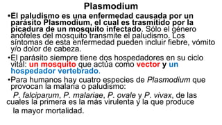 Plasmodium
•El paludismo es una enfermedad causada por un
parásito Plasmodium, el cual es trasmitido por la
picadura de un mosquito infectado. Sólo el género
anófeles del mosquito transmite el paludismo. Los
síntomas de esta enfermedad pueden incluir fiebre, vómito
y/o dolor de cabeza.
•El parásito siempre tiene dos hospedadores en su ciclo
vital: un mosquito que actúa como vector y un
hospedador vertebrado.
•Para humanos hay cuatro especies de Plasmodium que
provocan la malaria o paludismo:
P. falciparum, P. malariae, P. ovale y P. vivax, de las
cuales la primera es la más virulenta y la que produce
la mayor mortalidad.
 