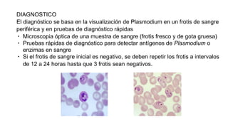 DIAGNOSTICO
El diagnóstico se basa en la visualización de Plasmodium en un frotis de sangre
periférica y en pruebas de diagnóstico rápidas
∙ Microscopia óptica de una muestra de sangre (frotis fresco y de gota gruesa)
∙ Pruebas rápidas de diagnóstico para detectar antígenos de Plasmodium o
enzimas en sangre
∙ Si el frotis de sangre inicial es negativo, se deben repetir los frotis a intervalos
de 12 a 24 horas hasta que 3 frotis sean negativos.
 