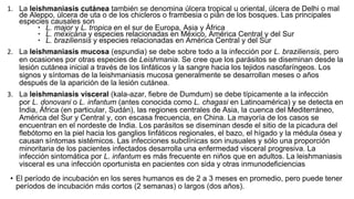 1. La leishmaniasis cutánea también se denomina úlcera tropical u oriental, úlcera de Delhi o mal
de Aleppo, úlcera de uta o de los chicleros o frambesia o pián de los bosques. Las principales
especies causales son
∙ L. major y L. tropica en el sur de Europa, Asia y África
∙ L. mexicana y especies relacionadas en México, América Central y del Sur
∙ L. braziliensis y especies relacionadas en América Central y del Sur
2. La leishmaniasis mucosa (espundia) se debe sobre todo a la infección por L. braziliensis, pero
en ocasiones por otras especies de Leishmania. Se cree que los parásitos se diseminan desde la
lesión cutánea inicial a través de los linfáticos y la sangre hacia los tejidos nasofaríngeos. Los
signos y síntomas de la leishmaniasis mucosa generalmente se desarrollan meses o años
después de la aparición de la lesión cutánea.
3. La leishmaniasis visceral (kala-azar, fiebre de Dumdum) se debe típicamente a la infección
por L. donovani o L. infantum (antes conocida como L. chagasi en Latinoamérica) y se detecta en
India, África (en particular, Sudán), las regiones centrales de Asia, la cuenca del Mediterráneo,
América del Sur y Central y, con escasa frecuencia, en China. La mayoría de los casos se
encuentran en el nordeste de India. Los parásitos se diseminan desde el sitio de la picadura del
flebótomo en la piel hacia los ganglios linfáticos regionales, el bazo, el hígado y la médula ósea y
causan síntomas sistémicos. Las infecciones subclínicas son inusuales y sólo una proporción
minoritaria de los pacientes infectados desarrolla una enfermedad visceral progresiva. La
infección sintomática por L. infantum es más frecuente en niños que en adultos. La leishmaniasis
visceral es una infección oportunista en pacientes con sida y otras inmunodeficiencias
• El período de incubación en los seres humanos es de 2 a 3 meses en promedio, pero puede tener
períodos de incubación más cortos (2 semanas) o largos (dos años).
 
