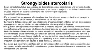 Strongyloides stercolaris
• Es un parásito facultativo que es capaz de desarrollarse en dos ecosistemas, uno terrestre de vida
libre y otro en el ser humano. El parasitismo en el ser humano es ejercido por la hembra dentro de la
mucosa intestinal en ausencia del macho y se reproduce por un proceso
denominado partenogénesis.
• Por lo general, las personas se infectan al caminar descalzas en suelos contaminados como en la
hojarasca debajo de los árboles, o en los bordes de los riachuelos.
• La mayoría de las personas con esta infección no presentan ningún síntoma, pero en algunos casos
aparecen erupción, tos, sibilancias, dolor abdominal, diarrea y pérdida de peso.
• Los gusanos Strongyloides adultos residen en el intestino delgado. Las hembras producen huevos,
que eclosionan y liberan larvas rabditoides. La mayor parte de las larvas se excretan en las heces.
Después de unos días en el suelo, las larvas evolucionan a una forma que puede causar infección
denominándose larvas filariformes, que entran en contacto con la piel desnuda de una persona, y
penetran en ella. Luego viajan a través del torrente sanguíneo hasta los pulmones y ascienden por
las vías respiratorias hasta la garganta, son ingeridas y acaban en el intestino delgado, donde
maduran para convertirse en adultos al cabo de unas 2 semanas.
• Las larvas que no entran en contacto con las personas pueden convertirse en gusanos adultos que
se pueden reproducir en el suelo formando varias generaciones antes de que sus larvas entren en
contacto con una persona.
 