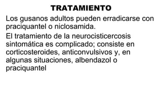 TRATAMIENTO
Los gusanos adultos pueden erradicarse con
praciquantel o niclosamida.
El tratamiento de la neurocisticercosis
sintomática es complicado; consiste en
corticosteroides, anticonvulsivos y, en
algunas situaciones, albendazol o
praciquantel
 