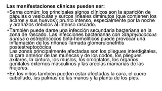 Las manifestaciones clínicas pueden ser:
•Sarna común: los principales signos clínicos son la aparición de
pápulas o vesículas y surcos lineales diminutos (que contienen los
ácaros y sus huevos); prurito intenso, especialmente por la noche
y arañazos debidos al intenso rascado.
•También puede darse una infección secundaria bacteriana en la
zona de rascado. Las infecciones bacterianas con Staphylococcus
aureus o estreptococos beta-hemolíticos puede provocar una
inflamación de los riñones llamada glomerulonefritis
postestreptocócica
Las zonas principalmente afectadas son los pliegues interdigitales,
la cara anterior de las muñecas y de los codos, los pliegues
axilares, la cintura, los muslos, los omóplatos, los órganos
genitales externos masculinos y las areolas mamarias de las
mujeres.
•En los niños también pueden estar afectadas la cara, el cuero
cabelludo, las palmas de las manos y la planta de los pies.
 
