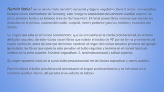 Nervio facial: es un nervio mixto sensitivo sensorial y órgano vegetativo. tiene 2 raíces: una sensitiva
llamada nervio intermediario de Wrisberg, este recoge la sensibilidad del conducto auditivo externo, es
único sensitivo facial y es llamado área de Ramsay-Hunt. El facial posee fibras motoras que inervan los
musculos de la mimica, cutaneo del cuello, occipital, vientre posterior gastrico, hioideo y musculos del
estribo.
Su origen real está en el núcleo somatomotor, que se encuentra en la calota protuberancial, en el límite
del bulbo raquídeo, de este núcleo nacen fibras que rodean el núcleo de VIº par de forma prominente del
cuarto ventrículo, antes de emerger del tronco cerebral; el origen del núcleo sensitivo proviene del ganglio
geniculado, las fibras que salen de este penetran el bulbo raquídeo y termina en el núcleo fascículo
solitario en la parte superior. Núcleos vegetativos: 2, lacrimomuconasal y salival superior.
Su origen aparente inicia en el surco bulbo protuberancial, en las fositas supraolivar y nervio auditivo.
Recorre desde el bulbo protuberancial atravesando el ángulo pontocerebeloso y se introduce en el
conducto auditivo interno, allí penetra el acueducto de falopio.
 