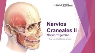 Nervios
Craneales II
Nervio Trigémino
Dra. Iris Ethel Rentería Solís

 