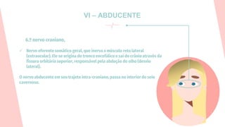 VI – ABDUCENTE
6.º nervo craniano,
✓ Nervo eferentesomático geral, que inerva o músculo reto lateral
(extraocular). Ele se origina do tronco encefálico e sai do crânio através da
fissura orbitária superior, responsável pela abdução do olho (desvio
lateral).
O nervo abducente em seu trajeto intra-craniano,passa no interior do seio
cavernoso.
 