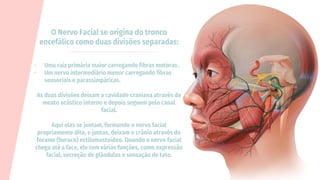 O Nervo Facial se origina do tronco
encefálico como duas divisões separadas:
• Uma raiz primária maior carregando fibras motoras .
• Um nervo intermediário menor carregando fibras
sensoriais e parassimpáticas.
As duas divisões deixam a cavidade craniana através do
meato acústico interno e depois seguem pelo canal
facial.
Aqui elas se juntam, formando o nervo facial
propriamente dito, e juntas, deixam o crânio através do
forame (buraco) estilomastoideo. Quando o nervo facial
chega até a face, ele tem várias funções, como expressão
facial, secreção de glândulas e sensação de tato.
 
