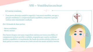 VIII – Vestibulococlear
8.º nervo craniano,
✓ É um nervo aferente somático especial, é um nervo sensitivo, em que a
porção vestibular é a responsável pelo equilíbrio, enquanto a porção
coclear está relacionada à audição.
Ele é formado de duas partes:
- Nervo vestibular
- Nervo coclear.
Eles fazem sinapse com seus respectivos núcleos no tronco encefálico. O
componentecoclear permite a audição, enquanto que a parte vestibular
medeia o equilíbrio e o movimento. No fundo do meato acústico interno,as
duas partes se unem e entram no crânio através do meato acústico interno.
 