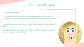 IX – Glossofaríngeo
9.º nervo craniano,
✓ Nervo multimodal, misto, pois promove a inervação sensitiva especial e
geral do 1/3 posterior da língua. Também inerva a faringe e suas estruturas.
Ele se origina do tronco encefálico e deixa o crânio através do forame (buraco)
jugular.
- Permite a deglutição, salivação e sensação gustativa, assim como sensações
viscerais e gerais da cavidade oral.
 