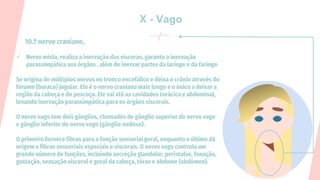 X - Vago
10.º nervo craniano,
✓ Nervo misto, realiza a inervação das vísceras, garante a inervação
parassimpática aos órgãos , além de inervar partes da laringe e da faringe
Se origina de múltiplos nervos no tronco encefálico e deixa o crânio através do
forame (buraco) jugular. Ele é o nervo craniano mais longo e o único a deixar a
região da cabeça e do pescoço. Ele vai até as cavidades torácica e abdominal,
levando inervação parassimpática para os órgãos viscerais.
O nervo vago tem dois gânglios, chamados de gânglio superior do nervo vago
e gânglio inferior do nervo vago (gânglio nodoso).
O primeiro fornece fibras para a função sensorial geral, enquanto o último dá
origem a fibras sensoriais especiais e viscerais. O nervo vago controla um
grande número de funções, incluindo secreção glandular, peristalse, fonação,
gustação, sensação visceral e geral da cabeça, tórax e abdome (abdómen).
 