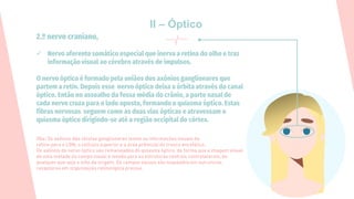 II – Óptico
2.º nervo craniano,
✓ Nervo aferente somático especial que inerva a retina do olho e traz
informação visual ao cérebro através de impulsos.
O nervo óptico é formado pela uniãos dos axônios ganglionares que
partem a retin. Depois esse nervo óptico deixa a órbita através do canal
óptico. Então no assoalho da fossa média do crânio, a parte nasal de
cada nervo cruza para o lado oposto, formando o quiasma óptico. Estas
fibras nervosas seguem como as duas vias ópticas e atravessam o
quiasma óptico dirigindo-se até a região occipital do córtex.
 