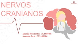 NERVOS
CRANIANOS
Amanda Brito Santos – 20.2.000198
Anatomia Geral – PE S1 MANHÃ
 