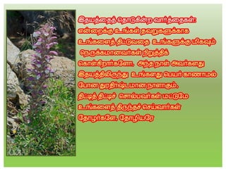 தமிழ் குறுஞ்செய்திகளின் தொகுப்பு 12 part