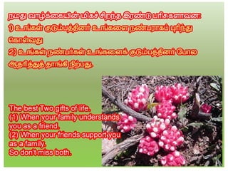 தமிழ் குறுஞ்செய்திகளின் தொகுப்பு 12 part