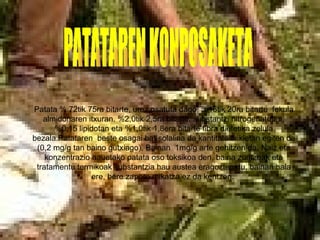 Patata % 72tik 75ra bitarte, urez osatuta dago, %16tik 20ra bitarte  fekula almidonaren itxuran. %2,0tik 2,5ra bitarte, substantzi nitrogenatutan, %0,15 lipidotan eta %1,0tik 1,8era bitarte fibra dietetika zelula bezala.Patataren  beste osagai bat solalina da kantitate txikietan egiten da (0,2 mg/g tan baino gutxiago). Bainan  1mg/g arte gehitzen da. Naiz eta konzentrazio hauetako patata oso toksikoa den, baina zuritzeak eta tratamentu termikoak substantzia hau austea eragozten du, bainan hala   ere, bere zapore mikatza ez da kentzen.   PATATAREN KONPOSAKETA 