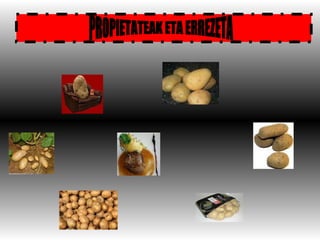 PROPIETATEAK ETA ERREZETA 