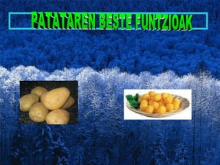 PATATAREN BESTE FUNTZIOAK 