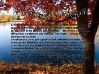 8. milenioan, Espainiako konkistatzaileek Europara barneratu zuten patata, asko kostatu zitzaien patata hemengo dietan sartzea bere gai toxikoak zirela eta bere zati berdeetan.Tradizionalki oso elikagai ohikoa izan da Irlandan edo Galizian. Gaur egun, Arabako patata preziatua da geurean. Berrehun urte baino gehiago dira Euskal Herrian landatzen hasi zirela. Euskal Herriaren adiskideen elkarteak ekarri zuen  1772an, ez zuten Gaztelatik ekarri, Irlandatik baizik, han oso zabalduta baitzegoen. Gobernuak behartu zituen Arabako nekazariak patata landatzera. Irlandatarrek ezusteko handia hartu zuten mildiu-izurria izeneko patataren gaixotasuna sortu zenean Phytophthora infestans onddo baten ondorioz, patata-landareak herdoildu eta hil egiten ziren. Gaixotasun honen eraginez, Irlandan gosete izugarria igaro zen. PATATAREN  HISTORIA 