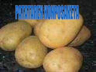 PATATAREN KONPOSAKETA 