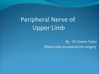 Peripheral Nerve of
Upper Limb
By : Dr Sumer Yadav
Plastic and reconstructive surgery
 
