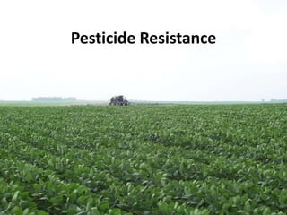 Pesticide Resistance
 