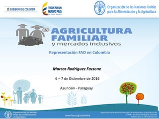 Representación FAO en Colombia
Marcos Rodriguez Fazzone
6 – 7 de Diciembre de 2016
Asunción - Paraguay
 