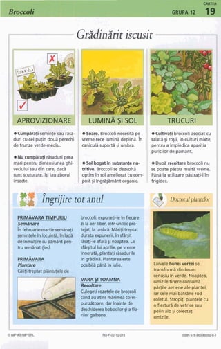 12 plante legumicole si condimentare | PDF