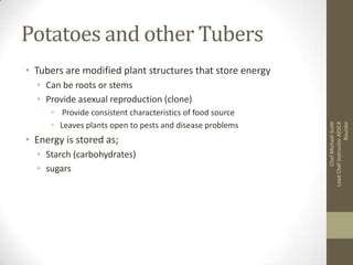 Potatoes and other Tubers
• Tubers are modified plant structures that store energy

• Provide consistent characteristics of food source
• Leaves plants open to pests and disease problems

• Energy is stored as;
• Starch (carbohydrates)
• sugars

Chef Michael Scott
Lead Chef Instructor AESCA
Boulder

• Can be roots or stems
• Provide asexual reproduction (clone)

 
