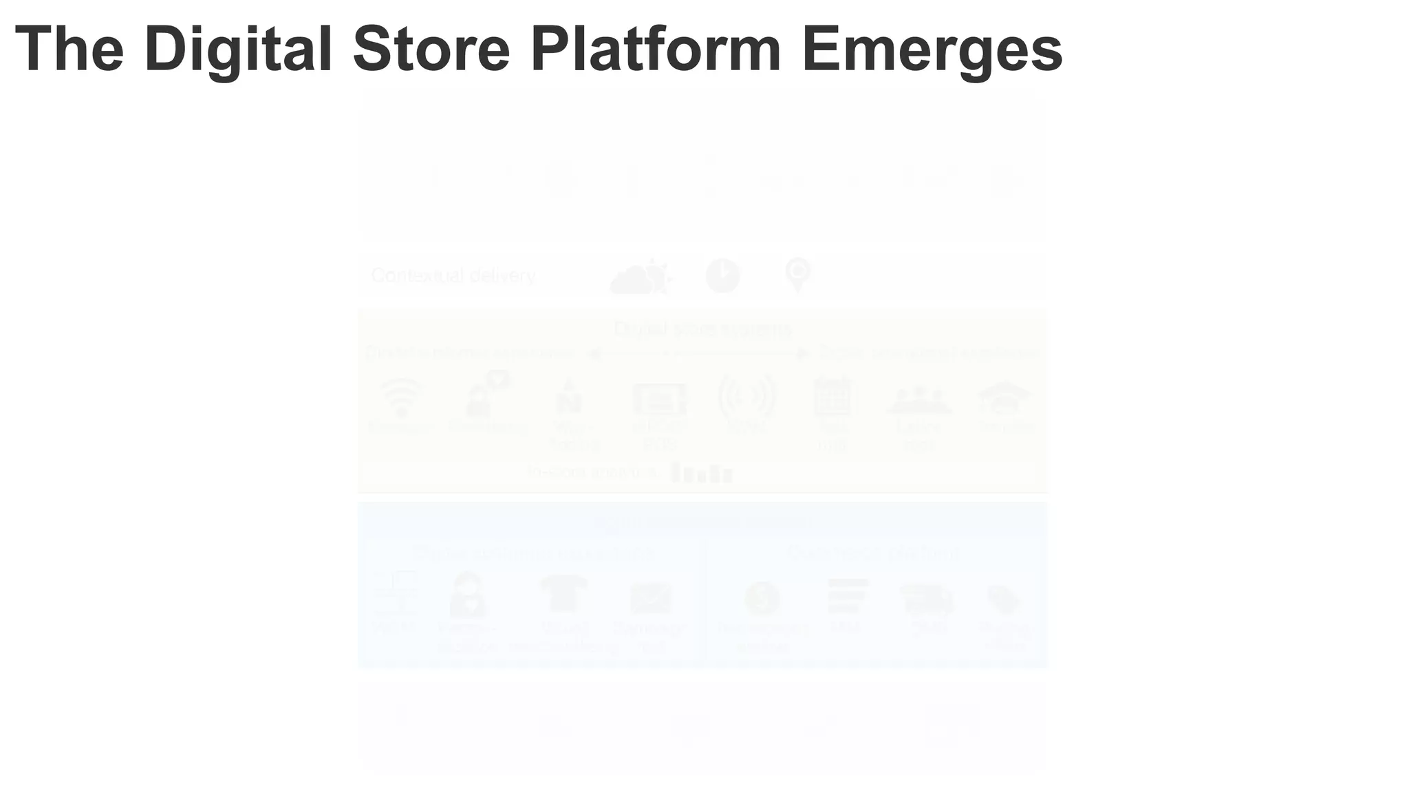 The Digital Store Platform Emerges
 