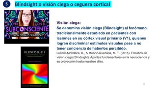 12 problemas para una neurociencia de la consciencia - 2024.pptx