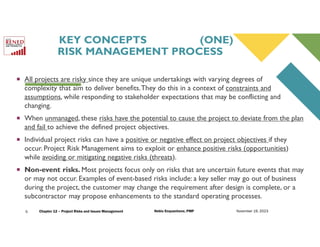 12 Project RISK and ISSUES Management.pdf