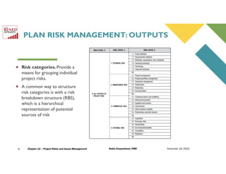 12 Project RISK and ISSUES Management.pdf