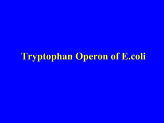 Tryptophan Operon of E.coli
 