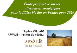 Étude prospective sur les
            alternatives stratégiques
  pour la filière blé dur en France pour 2020




            Sophie VALLADE
ARVALIS – Institut du végétal
 