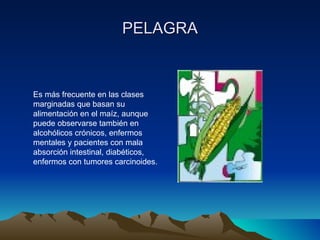 PELAGRA Es más frecuente en las clases marginadas que basan su alimentación en el maíz, aunque puede observarse también en alcohólicos crónicos, enfermos mentales y pacientes con mala absorción intestinal, diabéticos, enfermos con tumores carcinoides. 