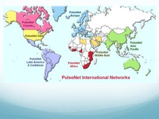 Steering Committee Meeting, November 3-5, 2015
La Paz, Mexico
PulseNet International vision for the implementation of whol...