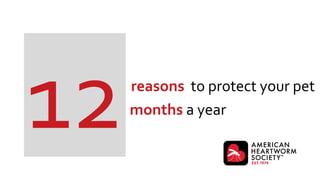 reasons to protect your pet
months a year
 