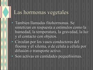Las hormonas vegetales
• Tambien llamadas fitohormonas. Se
sintetizan en respuesta a estímulos como la
humedad, la temperatura, la gravedad, la luz
y el contacto con objetos.
• Circulan por los vasos conductores del
floema y el xilema, o de célula a célula por
difusión o transporte activo.
• Son activas en cantidades pequeñísimas.
 