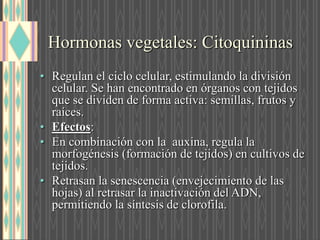 Hormonas vegetales: Citoquininas
• Regulan el ciclo celular, estimulando la división
celular. Se han encontrado en órganos con tejidos
que se dividen de forma activa: semillas, frutos y
raíces.
• Efectos:
• En combinación con la auxina, regula la
morfogénesis (formación de tejidos) en cultivos de
tejidos.
• Retrasan la senescencia (envejecimiento de las
hojas) al retrasar la inactivación del ADN,
permitiendo la síntesis de clorofila.
 