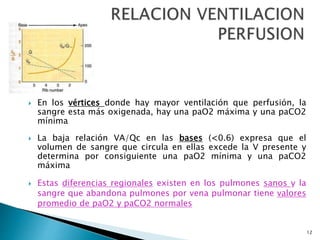 12
 En los vértices donde hay mayor ventilación que perfusión, la
sangre esta más oxigenada, hay una paO2 máxima y una paCO2
mínima
 La baja relación VA/Qc en las bases (<0.6) expresa que el
volumen de sangre que circula en ellas excede la V presente y
determina por consiguiente una paO2 mínima y una paCO2
máxima
 Estas diferencias regionales existen en los pulmones sanos y la
sangre que abandona pulmones por vena pulmonar tiene valores
promedio de paO2 y paCO2 normales
 